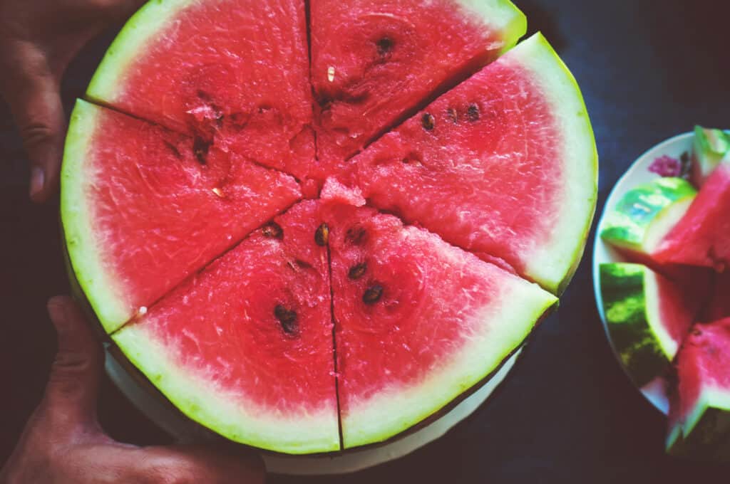 Harvested watermelon