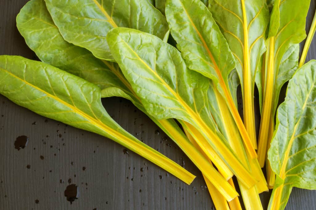 Chard leaves