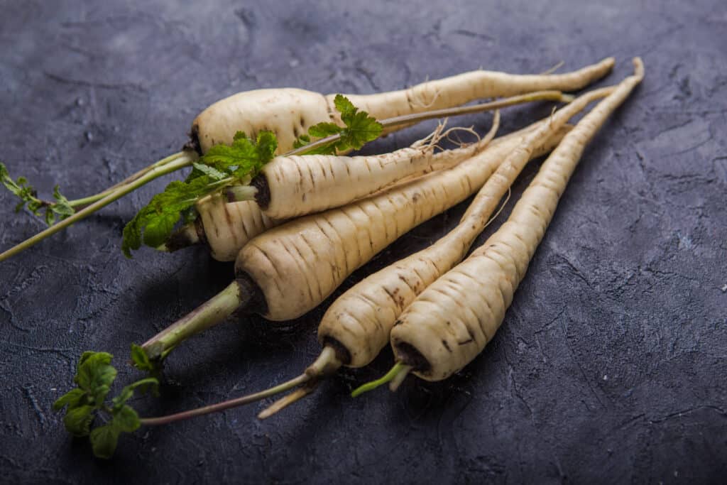 Parsnip harvest