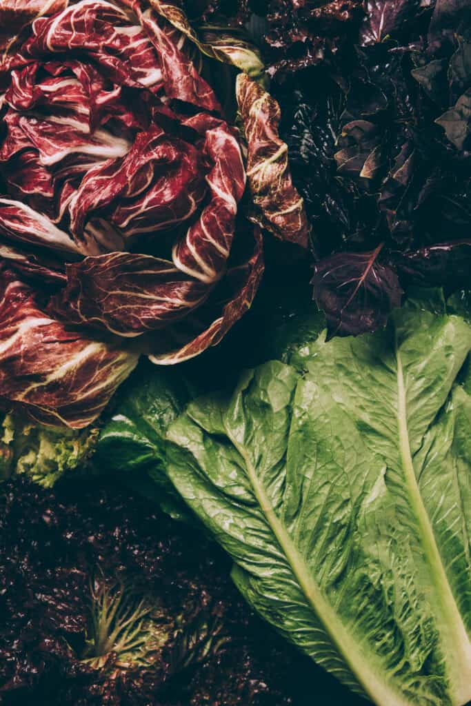 Radicchio and greens