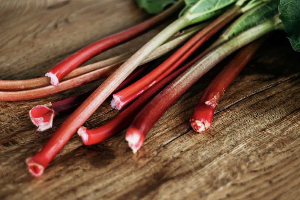 How to Harvest Rhubarb the Right Way (Hint: Don't Cut It!)