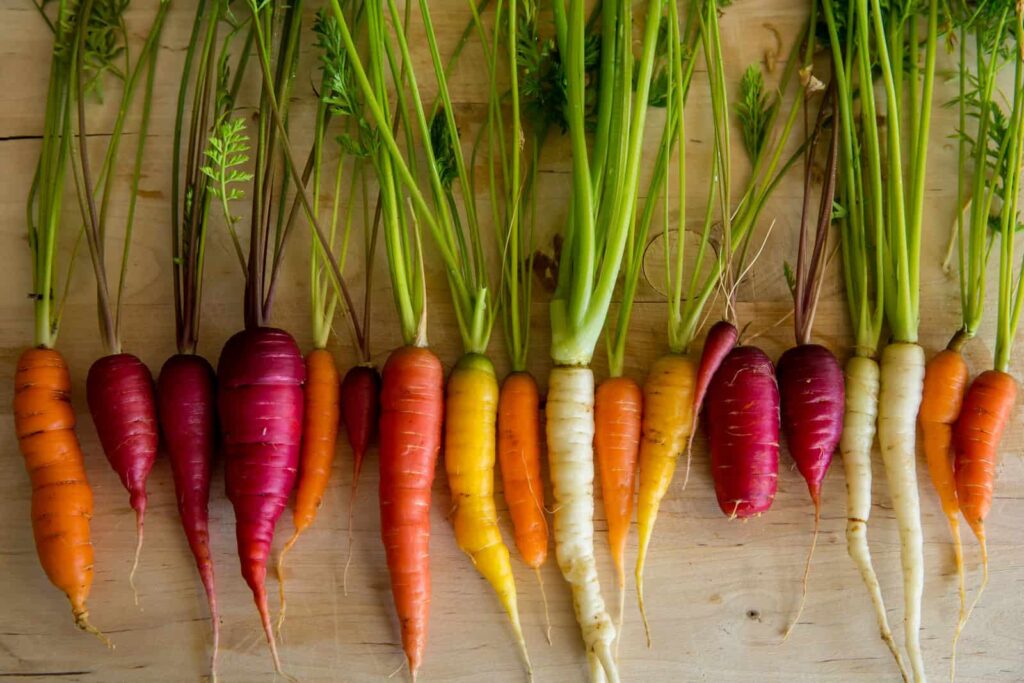 Grow carrots of color