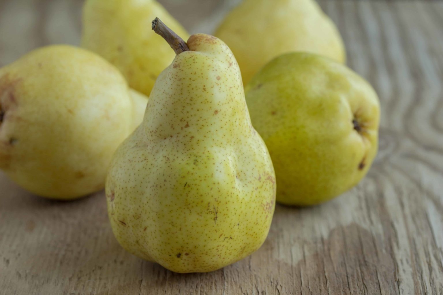 How to Plant, Grow, Prune, and Harvest Pears Harvest to Table