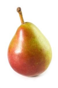 Harvest pears
