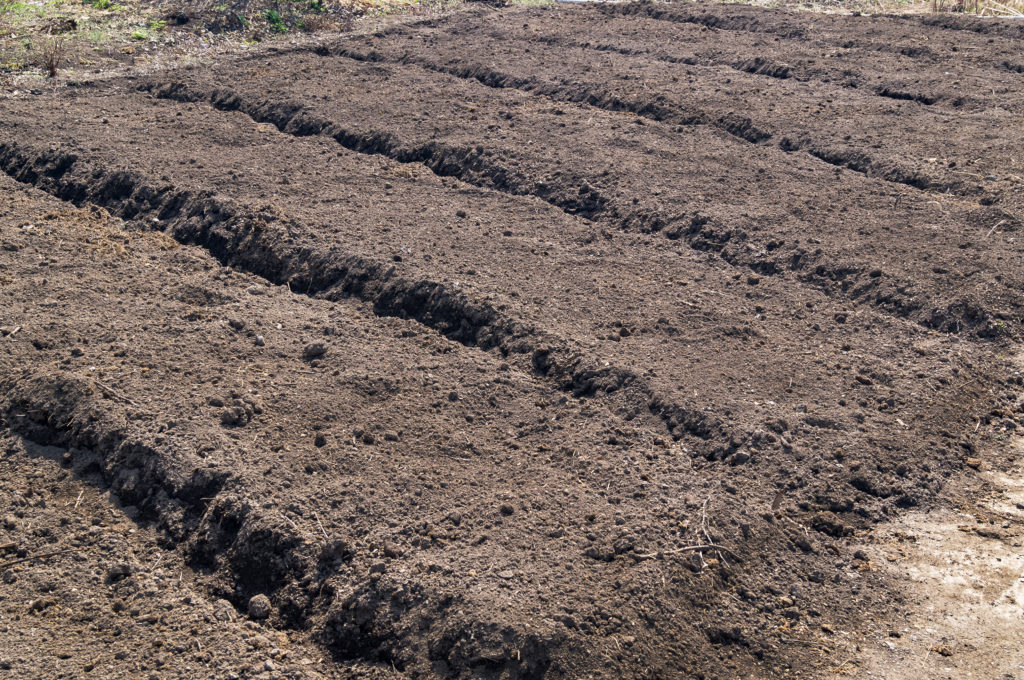 Raised Garden Bed Prep