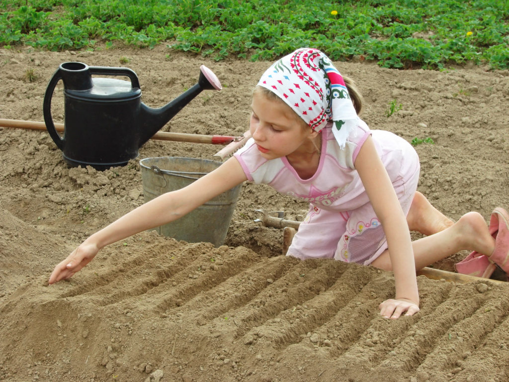 Child's planting bed