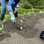 canstockphoto37255911