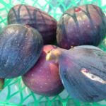 Figs in basket