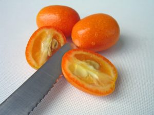 Citrus harvest