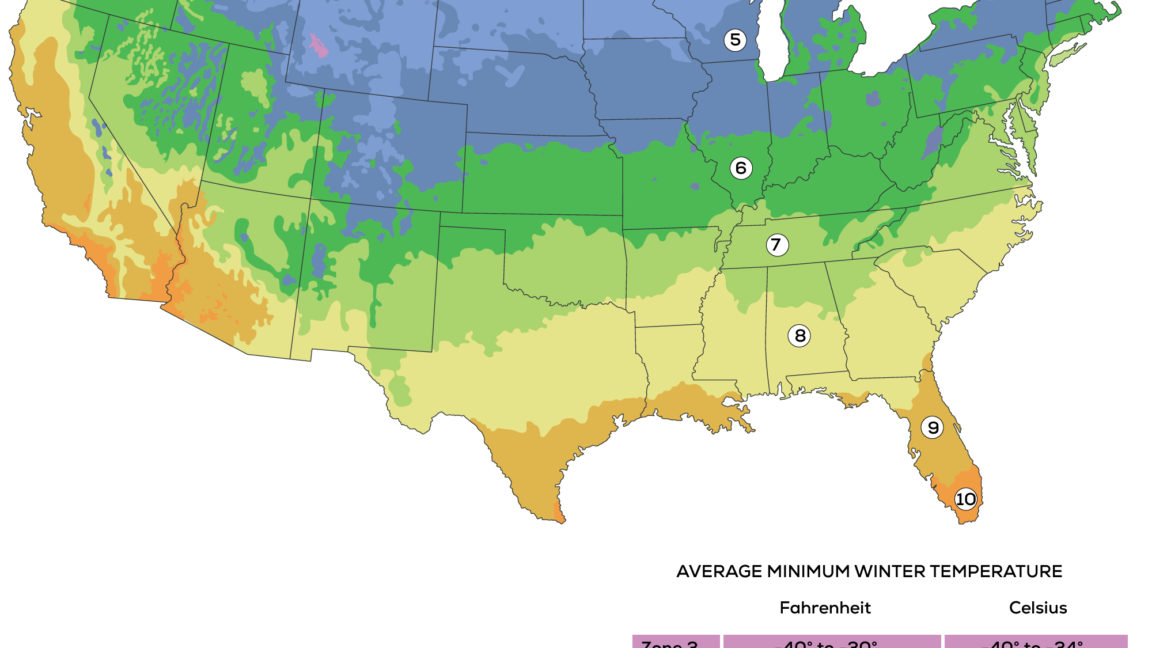 October Planting Zone-by-Zone - Harvest to Table