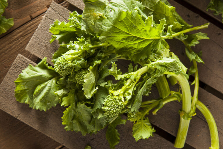 Broccoli Raab
