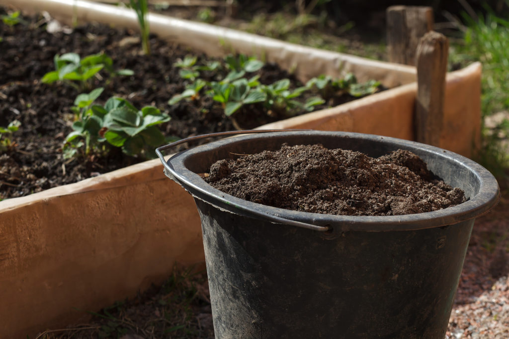 bucket of compost