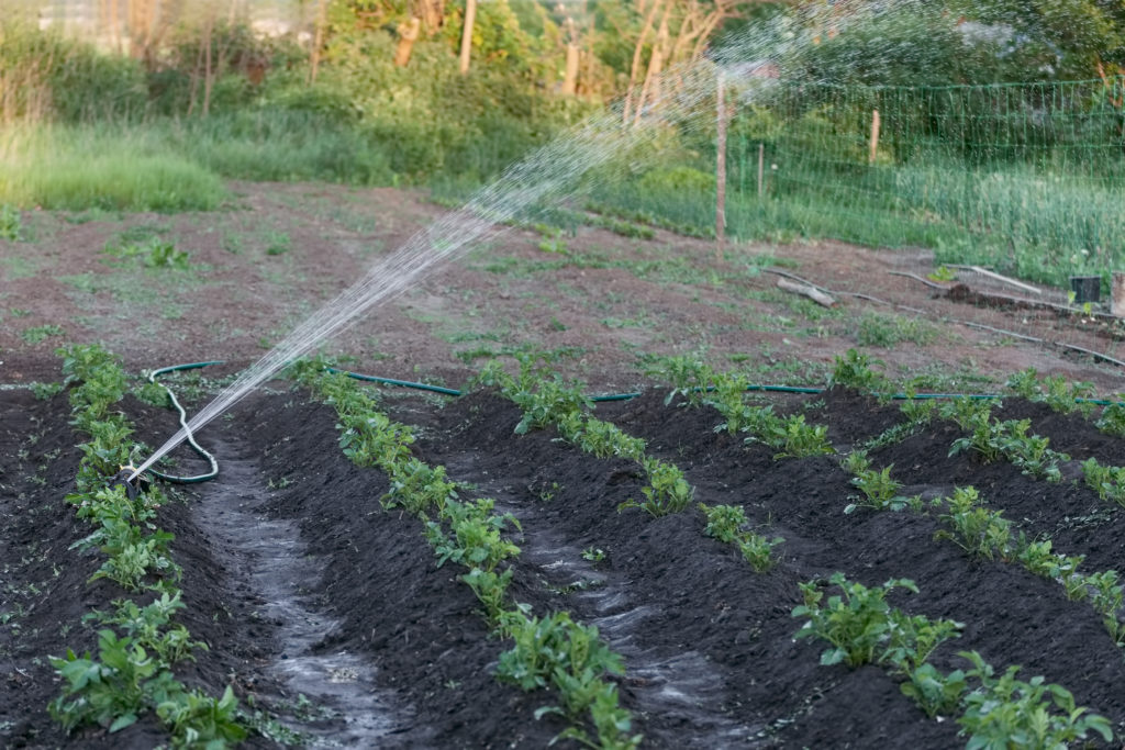 travel vegetable garden