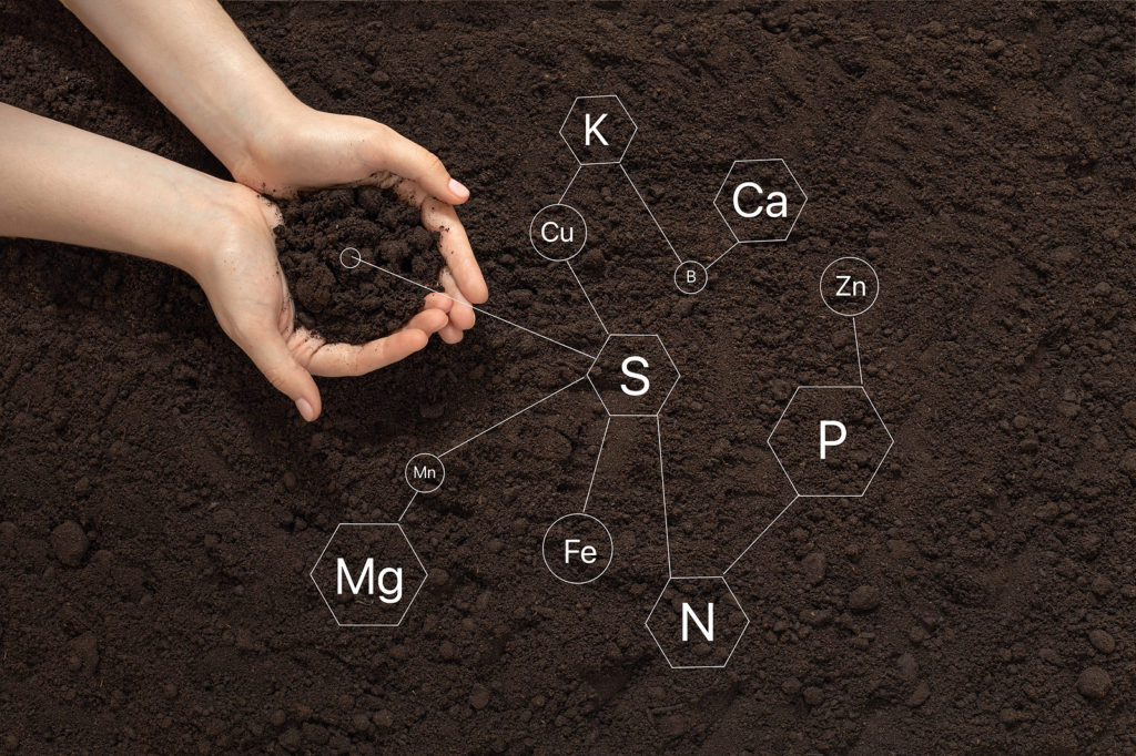 Soil nutrients for vegetables

