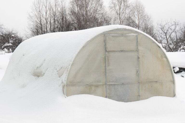 Greenhouse for growing vegetables