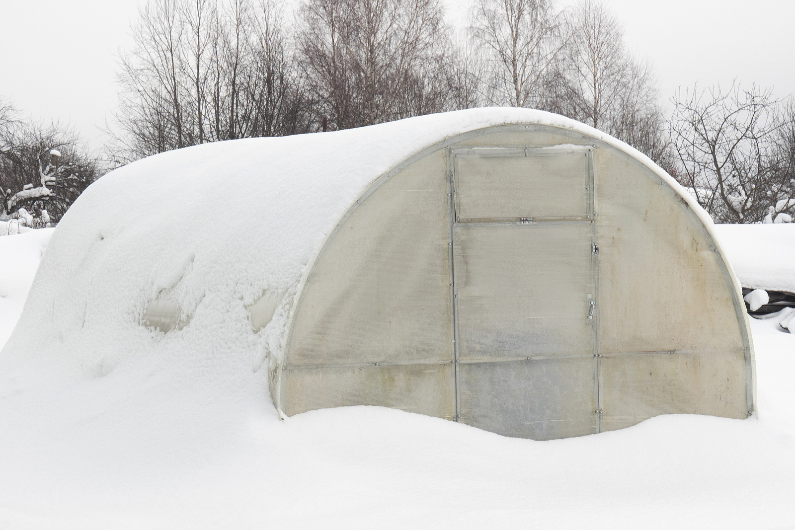Greenhouse for growing vegetables