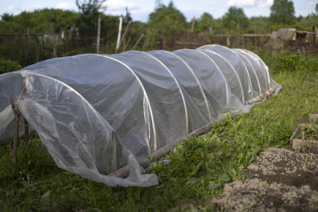 Plastic tunnel in garden