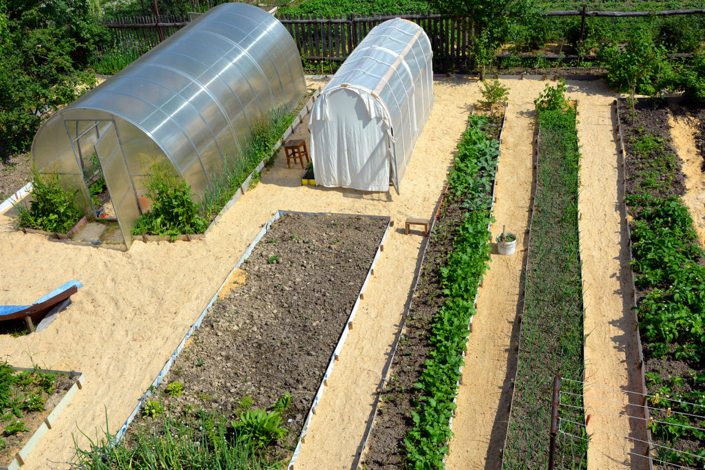 planting beds and greenhouse