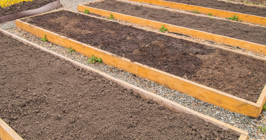 raised beds