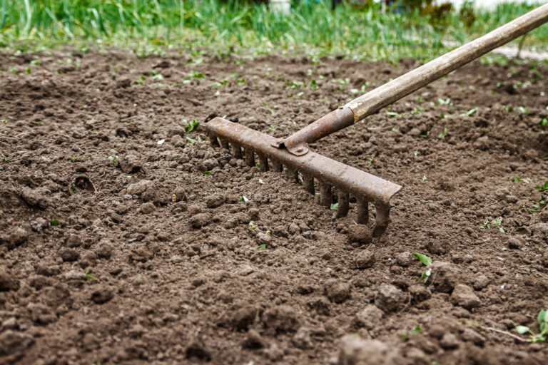 Raking garden soil