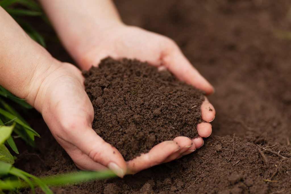 Handful of soil