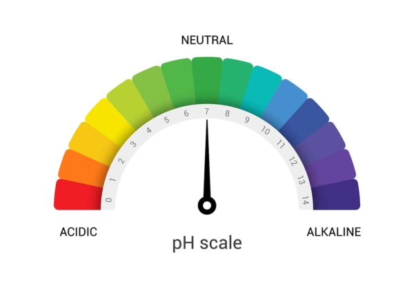 Vegetable Garden Soil pH-- Harvest to Table