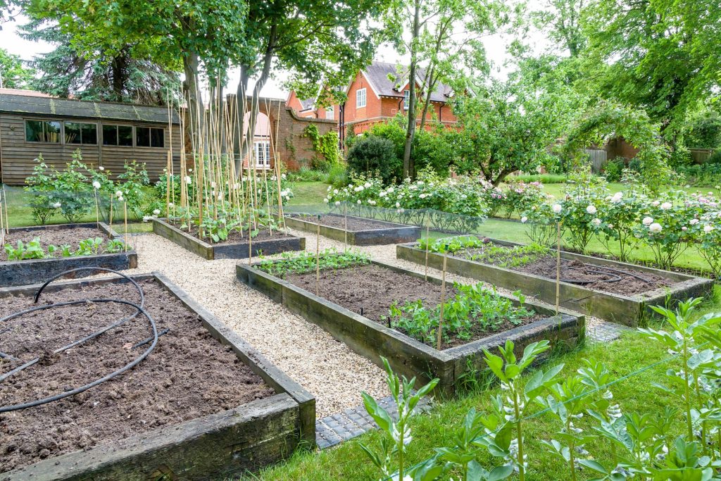 Vegetable garden in spring