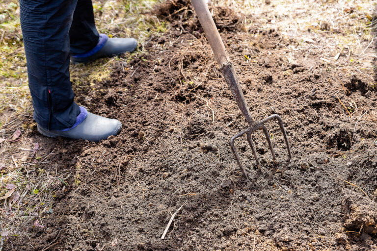 spading fork in soil