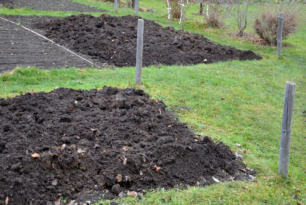 Planting bed with sheet compost