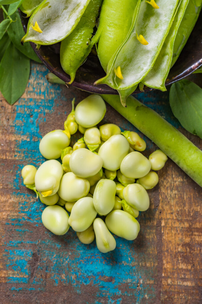 Lima beans and pods