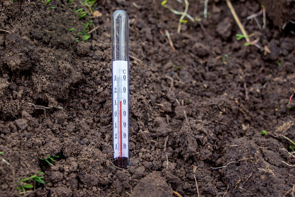 Before planting anything, take that topsoil temperature