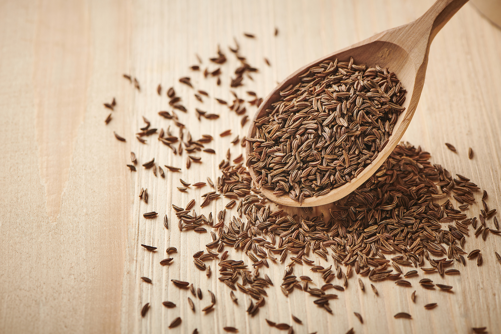 How to Plant, Grow, and Harvest Caraway Harvest to Table