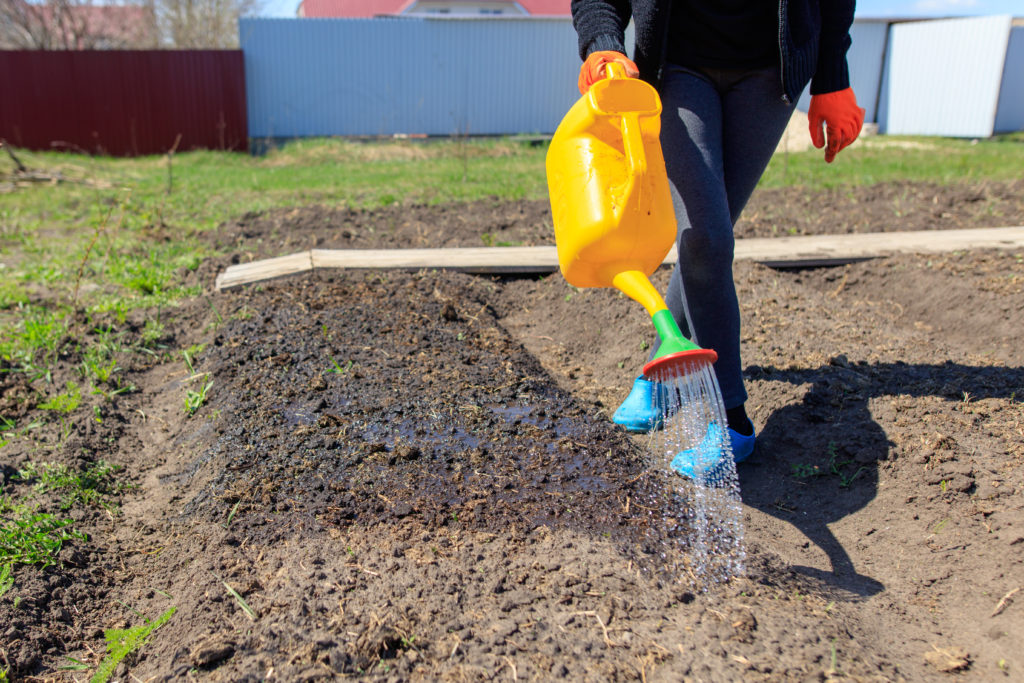 Water vegetables