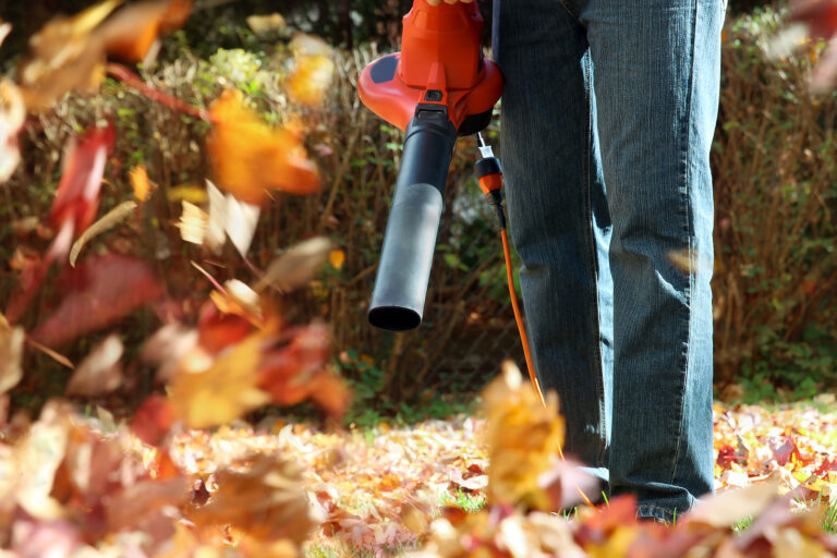 Leaf blower buying guide
