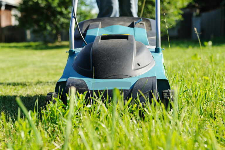 Lawn mower buyer's guide