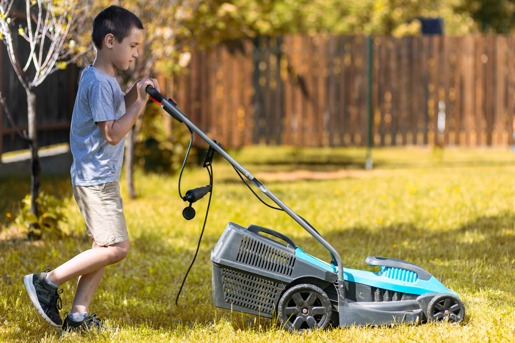 Lawn Mower Buyer's Guide -- Harvest to Table