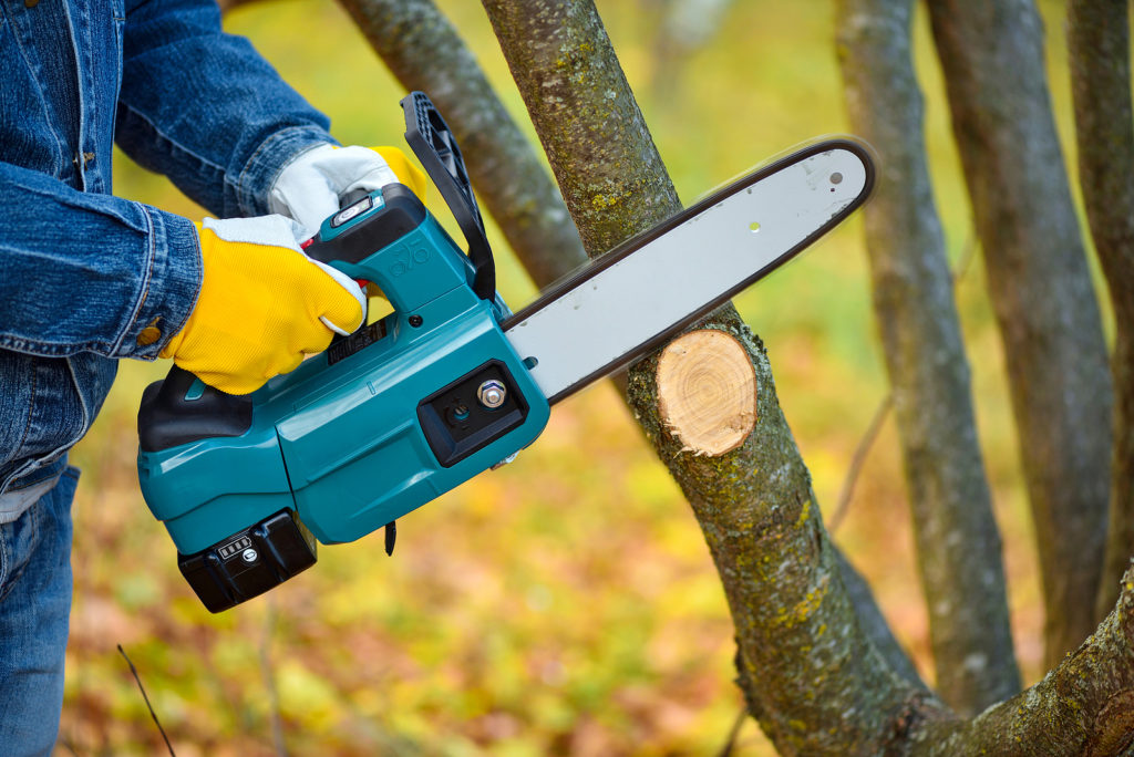 A battery-powered chainsaw is used here for pruning branches.