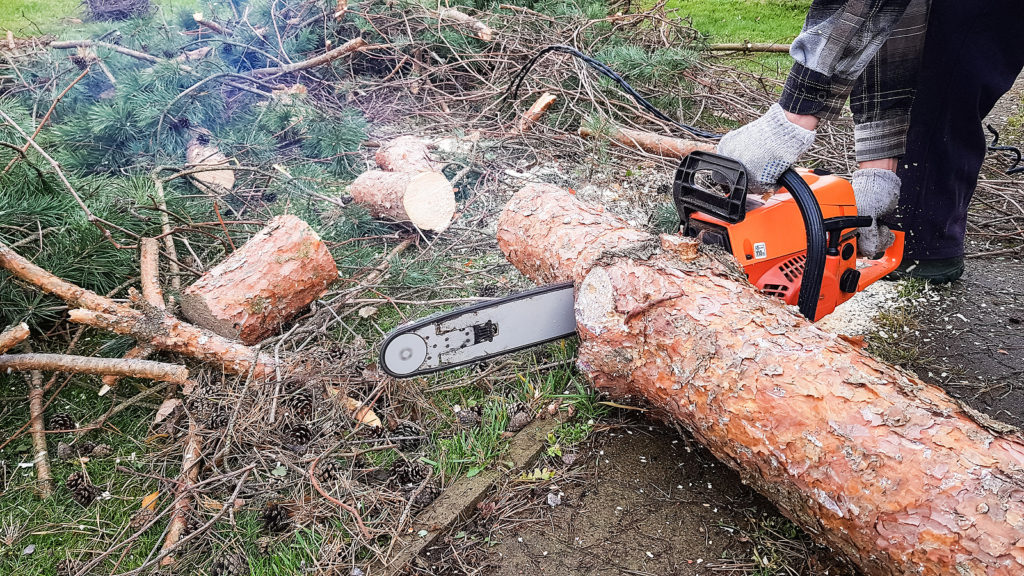 Chainsaw Buyer's Guide -- Harvest to Table