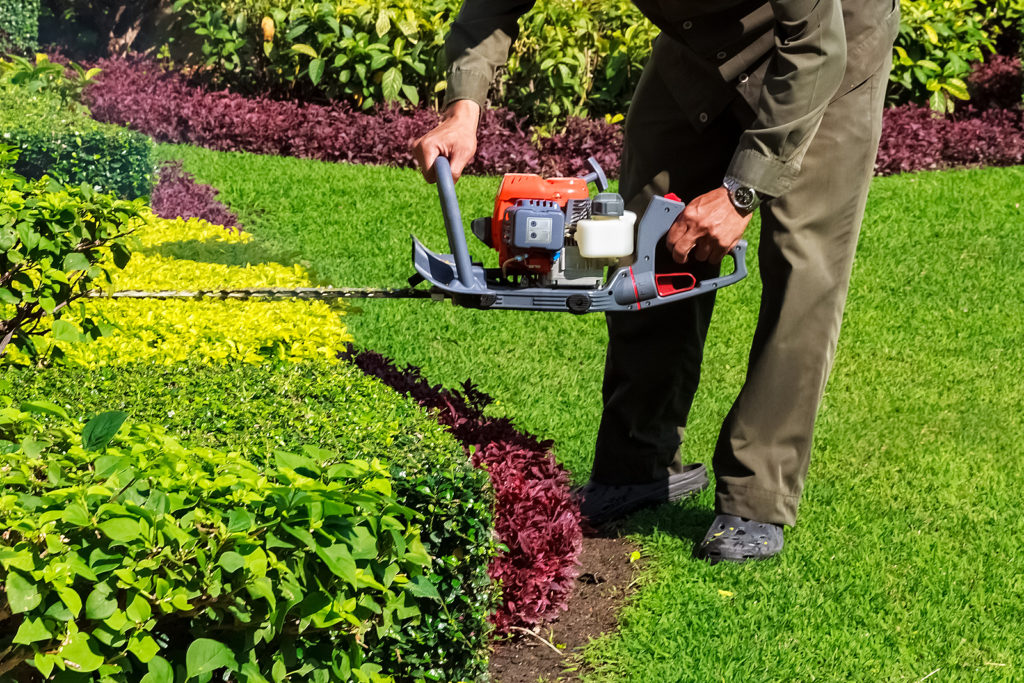 A gas-powered hedge trimmer allows for the best mobility and longest running time.
