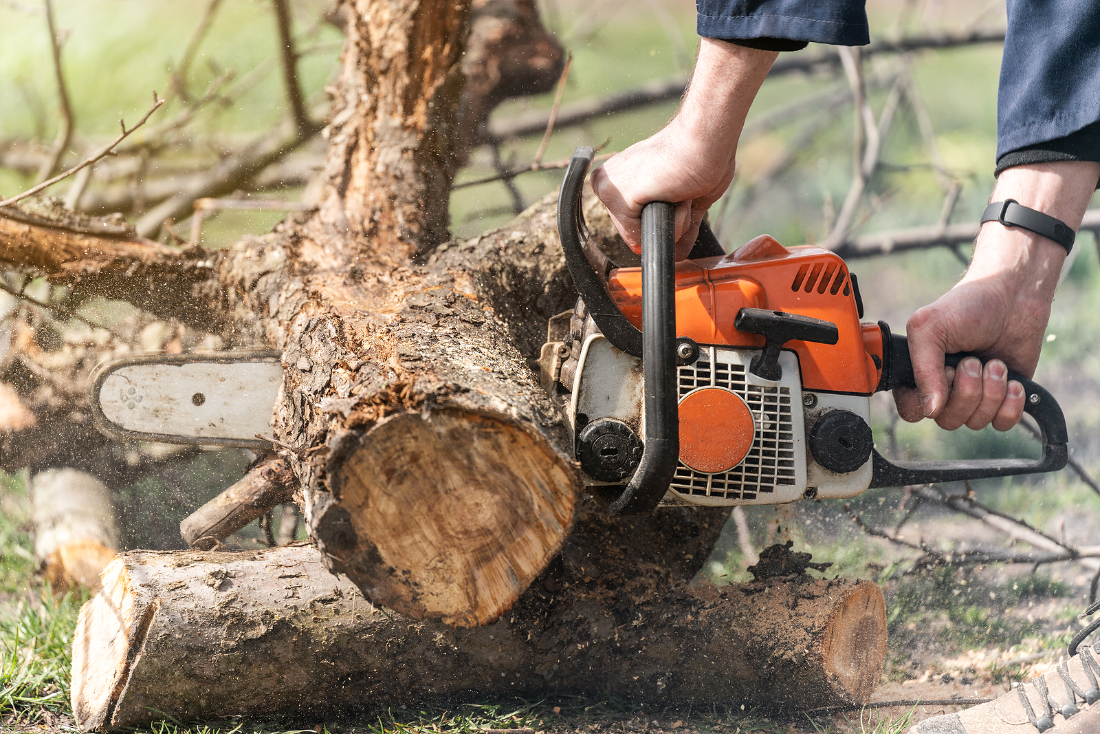 Thicker trunks with ground contact at both ends - Husqvarna Chainsaw Academy