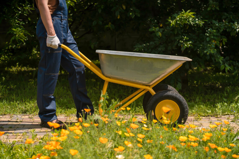 Wheelbarrows best