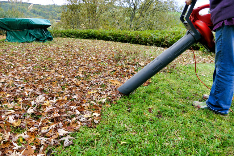 Leaf Blower Buyer's Guide BestRated Leaf Blowers Harvest to Table