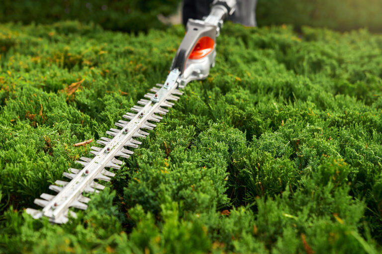 Hedge trimmer buyer's guide
