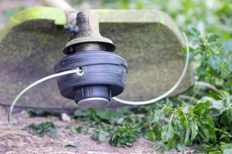 string trimmer buyer's guide