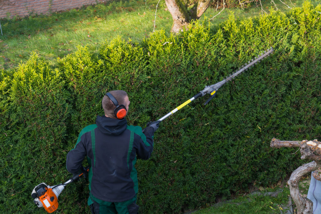 Best corded deals pole hedge trimmer