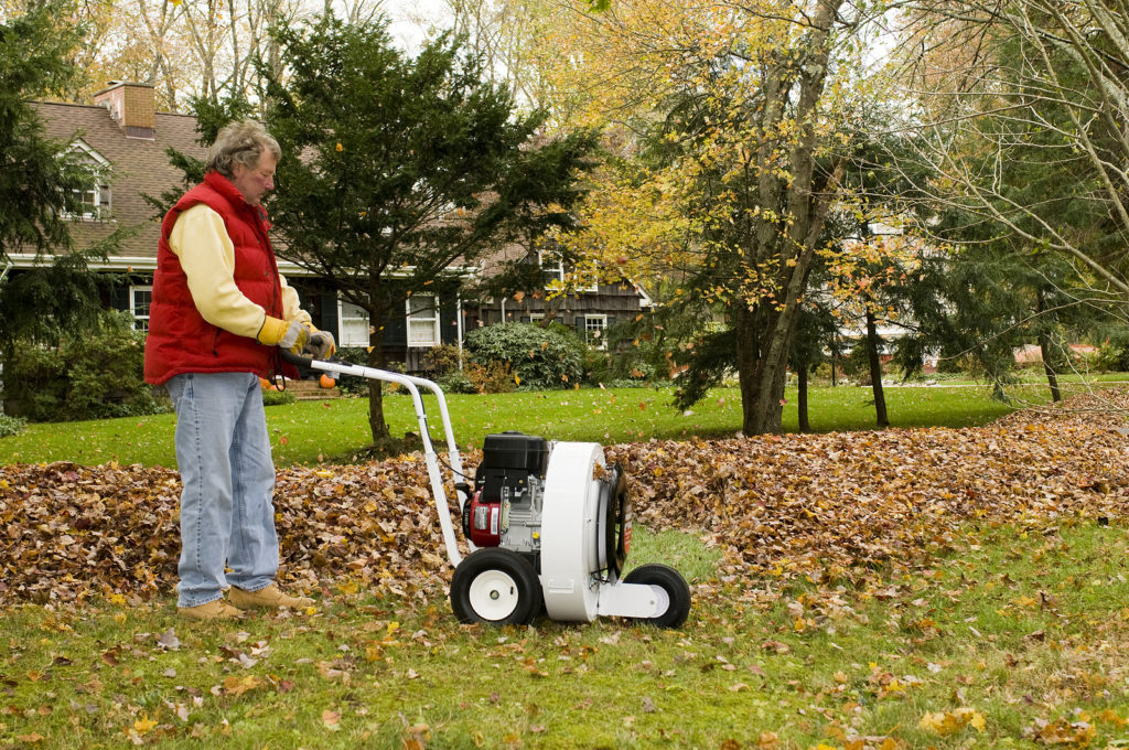 Little Wonder leaf / yard / parking lot blower - general for sale