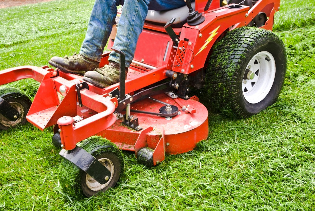 Lawn Mower Buyer's Guide -- Harvest to Table