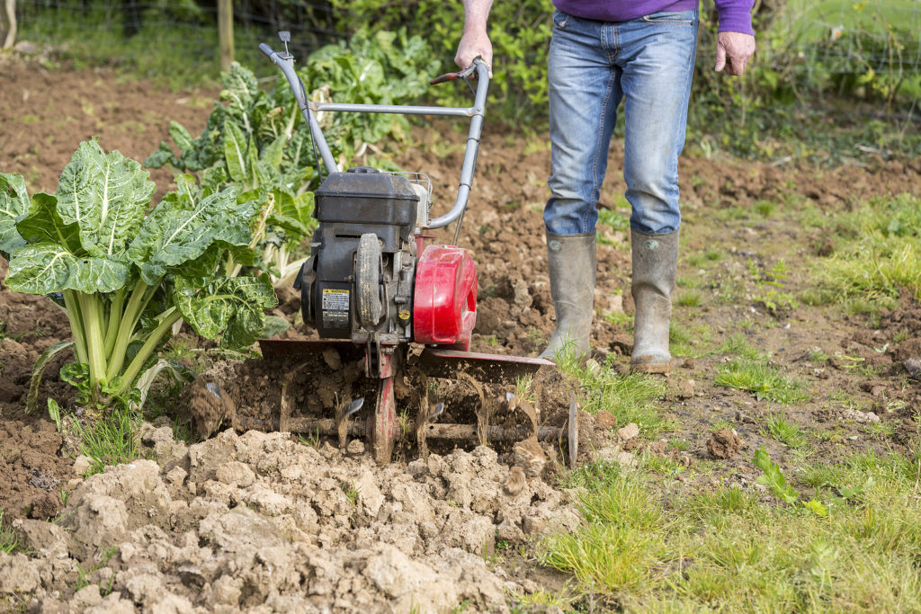 Best tiller for store hard soil