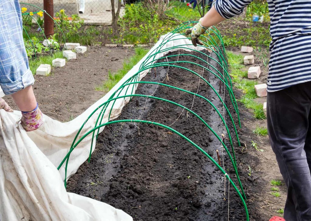 Fabric row cover being draped over hoops to protect a newly seeded bed.