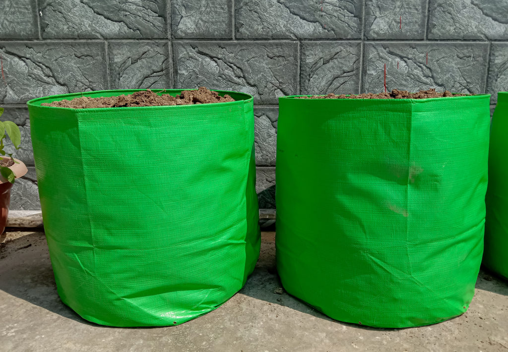 Large 15-gallon grow bags